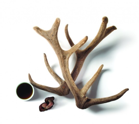 korean herbal medicine