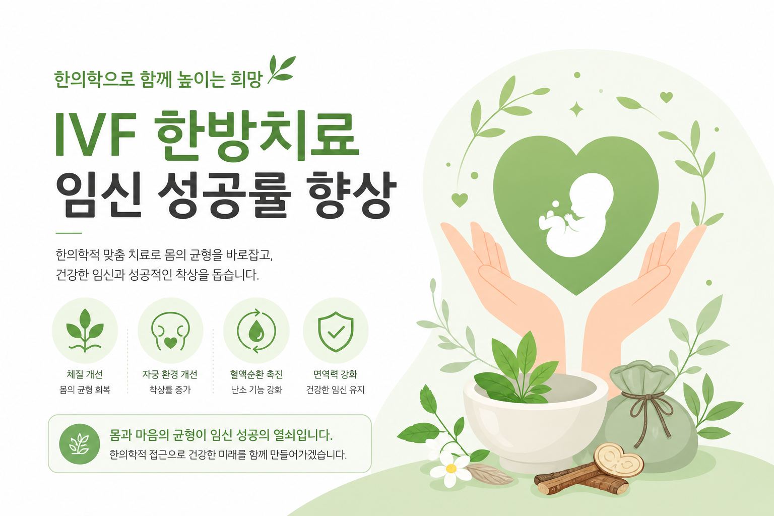 자궁내막과 배아 착상 과정을 부드럽고 이해하기 쉽게 표현한 일러스트 이미지 시험관아기 한방 치료 이미지