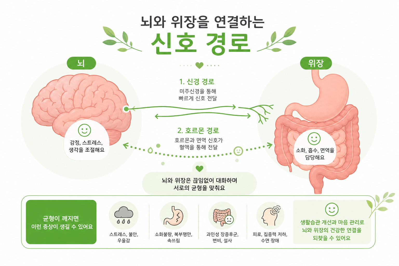 다이어트 한약, 정말 살이 빠질까? 식욕 억제·포만감·기초대사량의 원리 뇌와 위장을 연결하는 신호 경로를 단순하고 친근하게 표현한 인포그래픽 스타일 일러스트 이미지