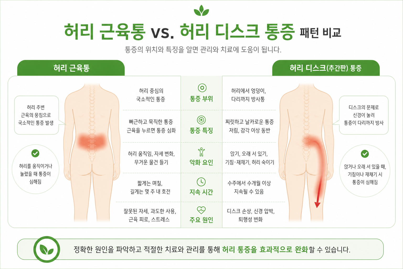 장거리 운전 허리 통증, 디스크일까요? 단순 근육통과의 차이 허리 근육통과 허리디스크의 통증 패턴을 좌우로 비교한 심플 비교표 스타일 이미지 운전 허리 통증 이미지