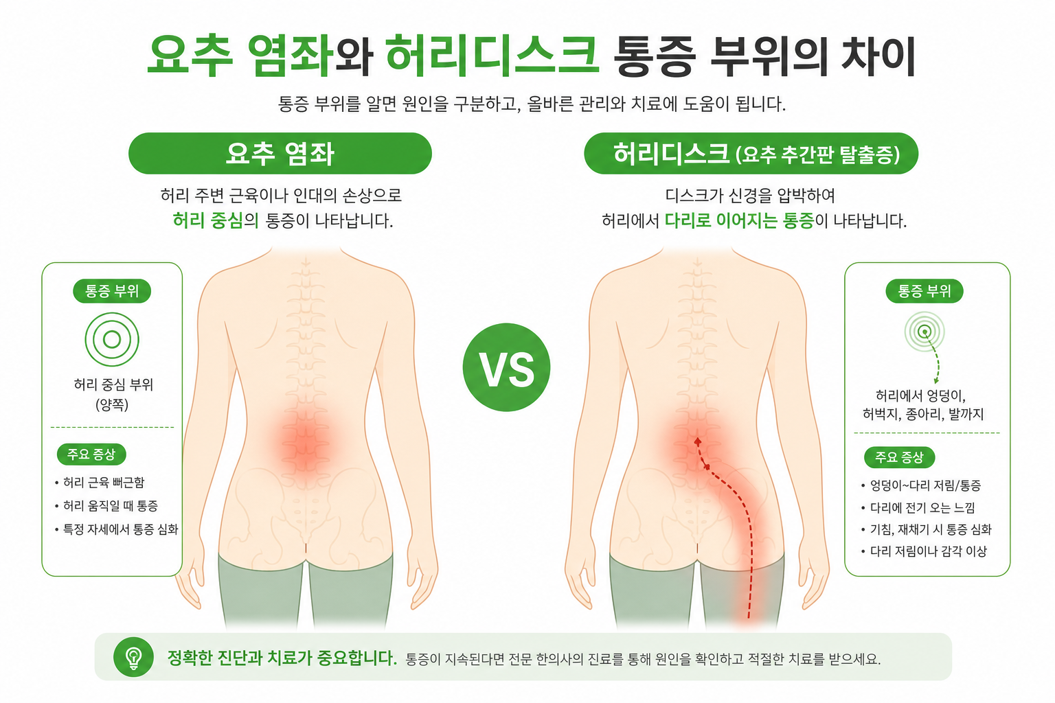 아이 안다가 삐끗한 허리, 허리 삐끗 디스크일까요? 구별법 정리 요추 염좌와 허리디스크의 통증 부위 차이를 비교하는 인체 다이어그램 허리 삐끗 디스크 이미지