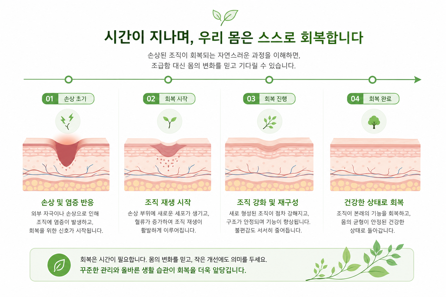 교통사고 합의 시기, 병원은 얼마나 다녀야 할까요? 시간 경과에 따라 조직이 서서히 회복되는 과정을 보여주는 타임라인형 일러스트 교통사고 합의 시기 이미지