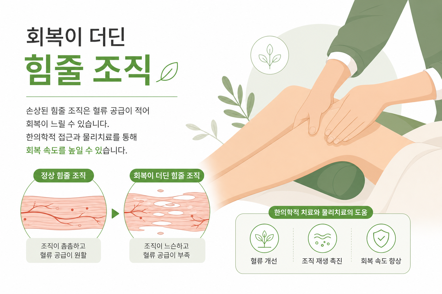 회복이 더딘 힘줄 조직 개념 일러스트 또는 물리치료 장면 테니스엘보 침 치료 이미지
